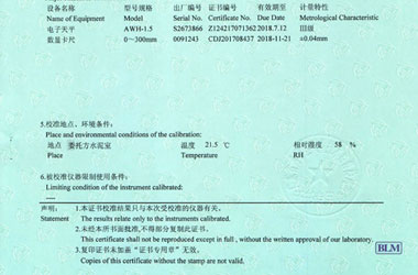 力学亚洲午夜在线证书报告说明页图片